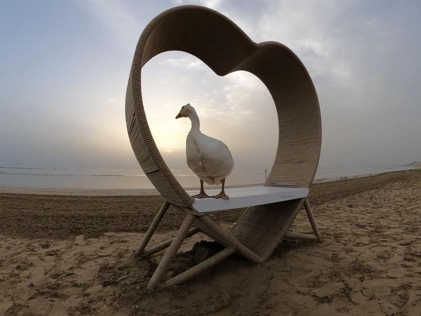 Hotel Caravel Marotta Dış mekan fotoğraf